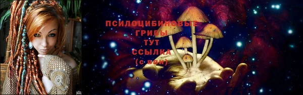 тгк Верхний Тагил